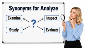 synonyms for analyze