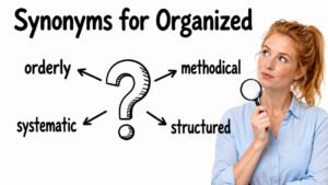 synonyms for organized