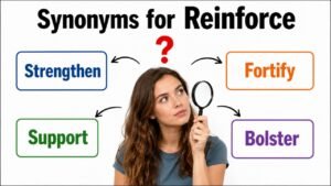 synonyms for reinforce