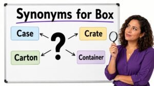 synonyms for box