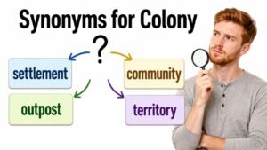 synonyms for colony