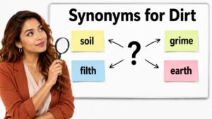 synonyms for dirt