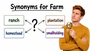 synonyms for farm