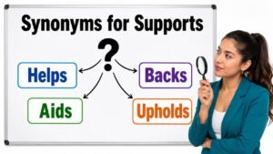 synonyms for supports