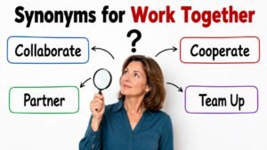 synonyms for work together